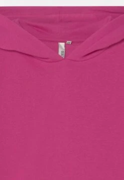 Pieces Kids Lpchilli Hood- Hoodie - Rose Violet 7 Pieces Kids Lpchilli Hood- Hoodie - Rose Violet -Pieces 1e4b9435e2bf4473a547b0f9f56ec801