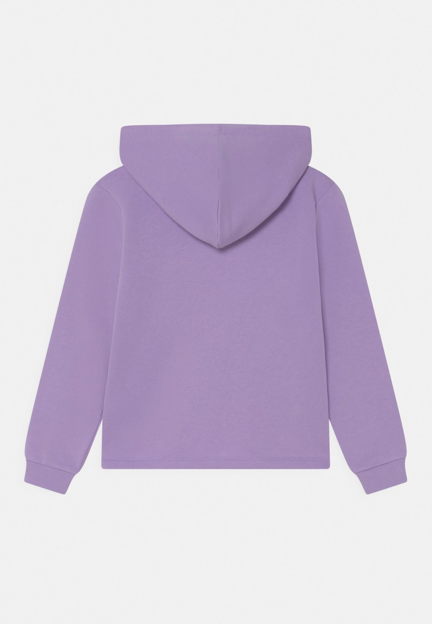 Pieces Kids Lpchilli Hood- Hoodie - Purple Rose 4 Pieces Kids Lpchilli Hood- Hoodie - Purple Rose - Afbeelding 2