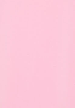 Pieces Pckamala Noos Bc - T-Shirt Basic - Begonia Pink -Pieces 97900af6b13f4cfbaa2c43bd1901be88