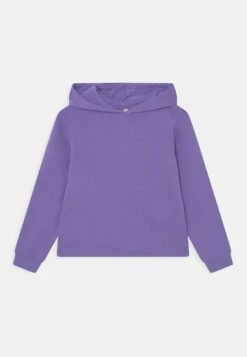 Pieces Kids Lpchilli Hood- Hoodie - Purple